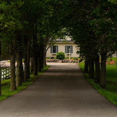 gallery photo number 3