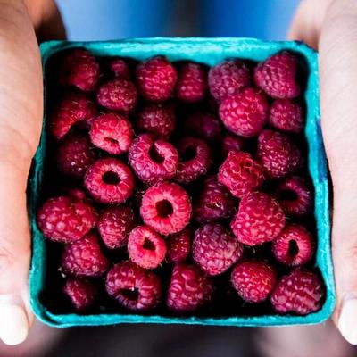 A container of fresh raspberries.