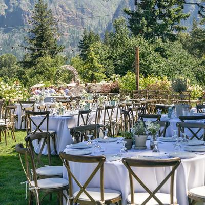 gallery photo number 220