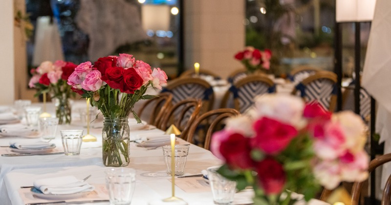 Interior, bar and cafe area, wild view