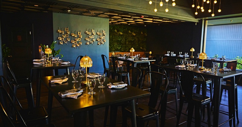 Interior, dining area