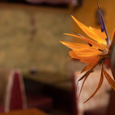 Interior decoration, details