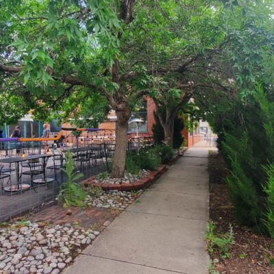 Garden path along the patio hedge