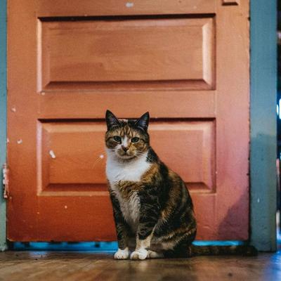 gallery photo number 1