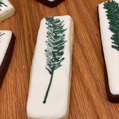 gallery photo number 63