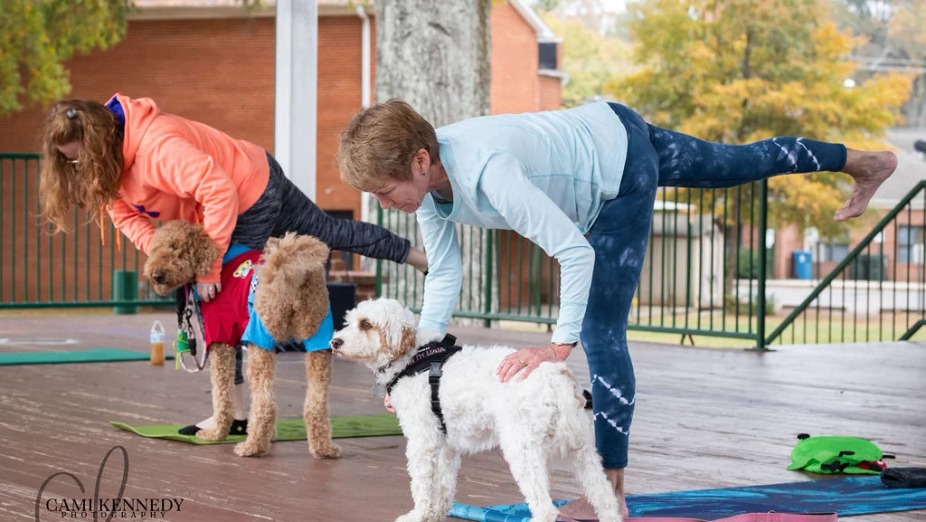 Doggie & Me Yoga and Acupressure (Outdoors) event photo