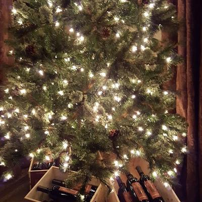 gallery photo number 237