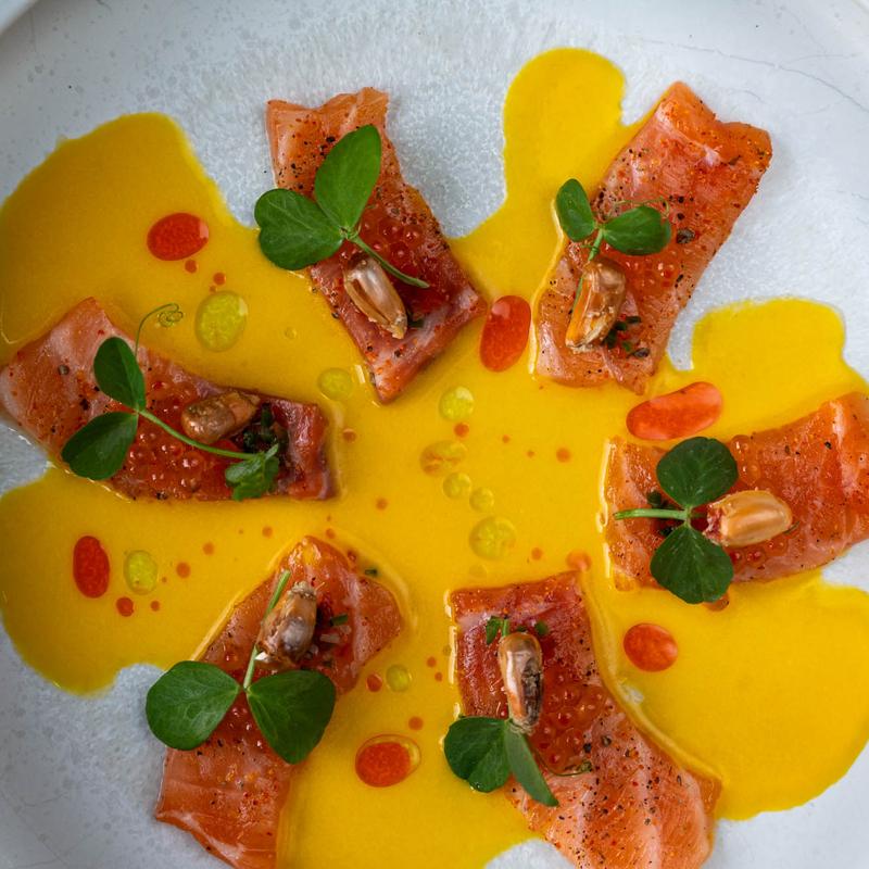 Salmon Tiradito photo