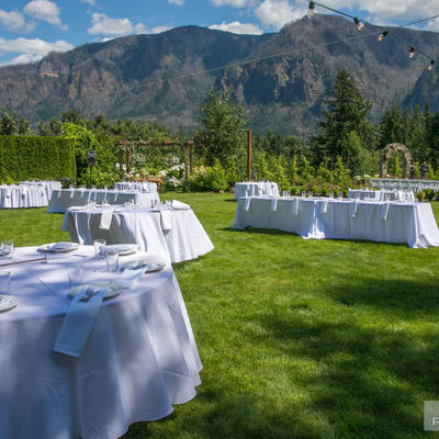 View of the natural landscape surrounding restaurant grass area