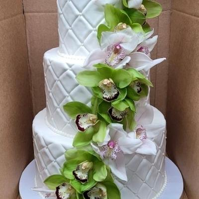 gallery photo number 14