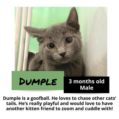 gallery photo number 16