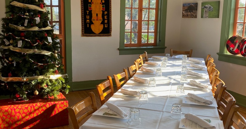 A table set for dining in a cozy room with a decorated Christmas tree