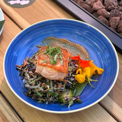 Grilled salmon on a bed of rice and veggie salad.
