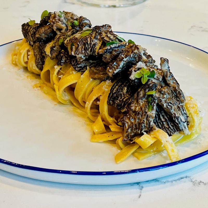 Morel Tagliatelle photo