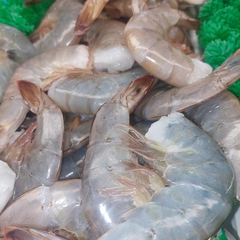 Jombo Shrimp  Shell On photo