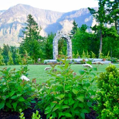 Garden and ark in the restaurant yard