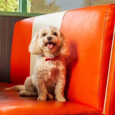 gallery photo number 8