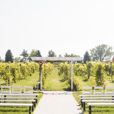Wedding Arch in Vineyard Ceremony at Next Chapter Winery.