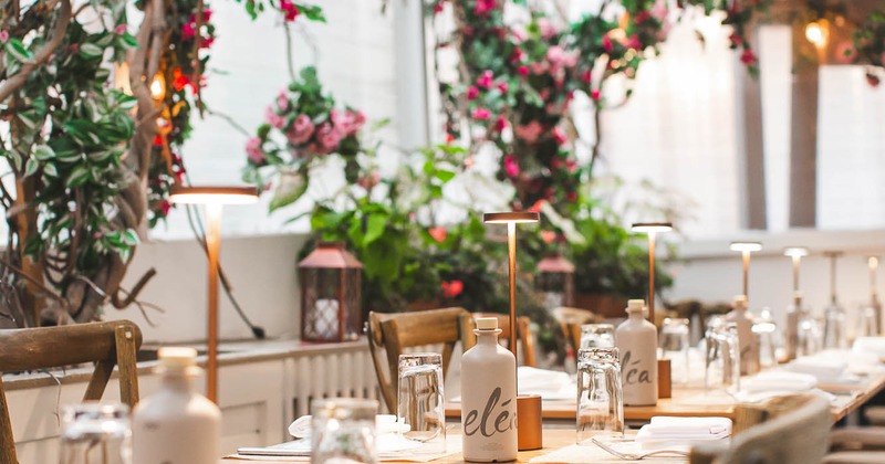 Interior, table set for guests