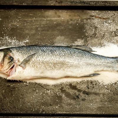 gallery photo number 13