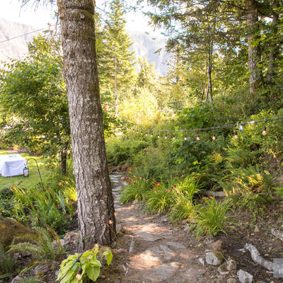 Forrest surrounding restaurant garden area