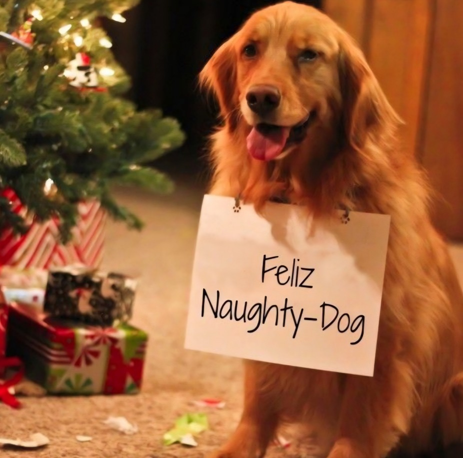 Customer Appreciation X-MAS event photo