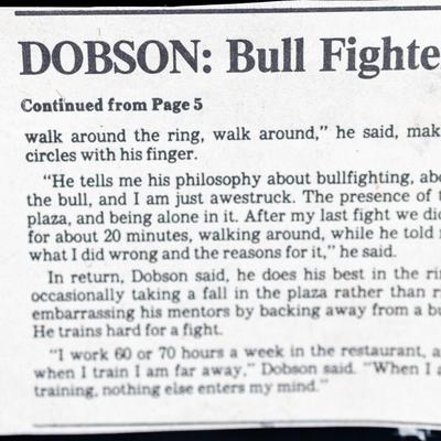 A partially visible article and a headline Dobson: Bull Fighter