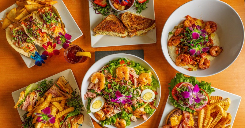 Top down view of a  variety of dishes on a wooden table