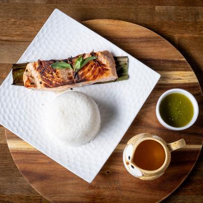 Grilled marinated salmon.