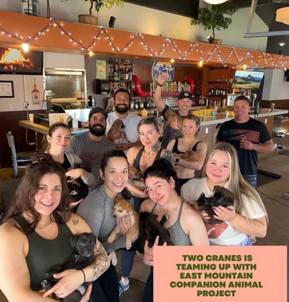 Puppy & Mimosa Yoga! event photo
