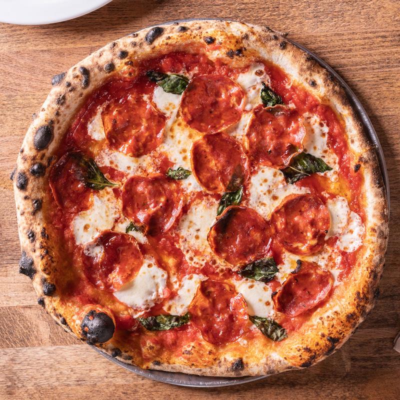 SCOTTY 2 HOTTIE photo