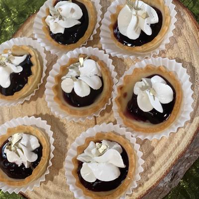 gallery photo number 58