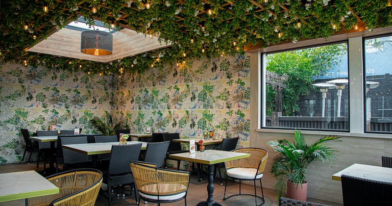 Interior, dining area