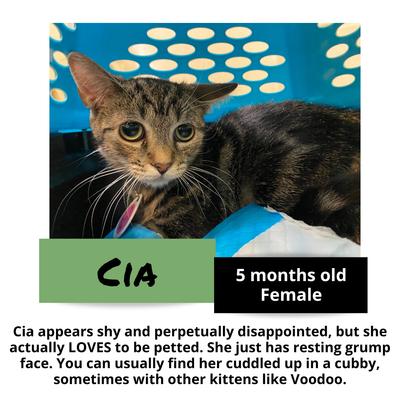 gallery photo number 6