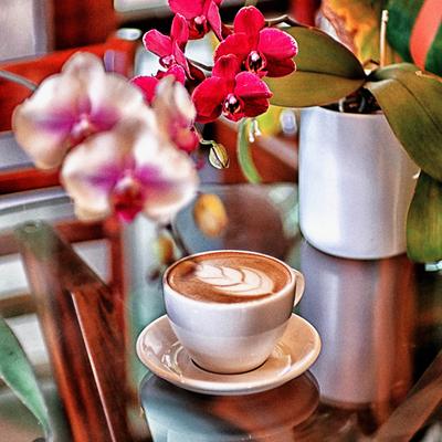 A served latte on display.