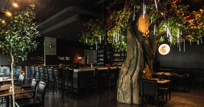 Interior, wide shot of a dining and bar area, large decorative artificial tree with cascading lights