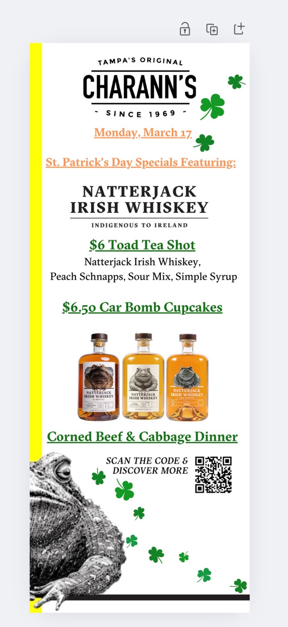 St. Patrick's Day event photo