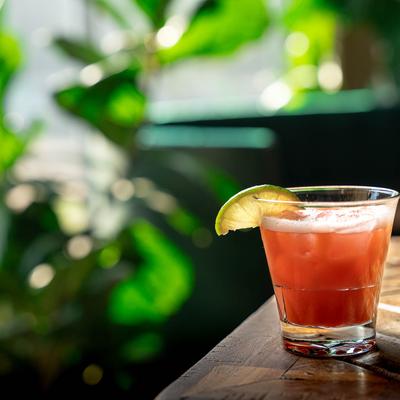 Just Rum With It cocktail sits on a wooden table, bathed in soft sunlight, blurred green foliage.