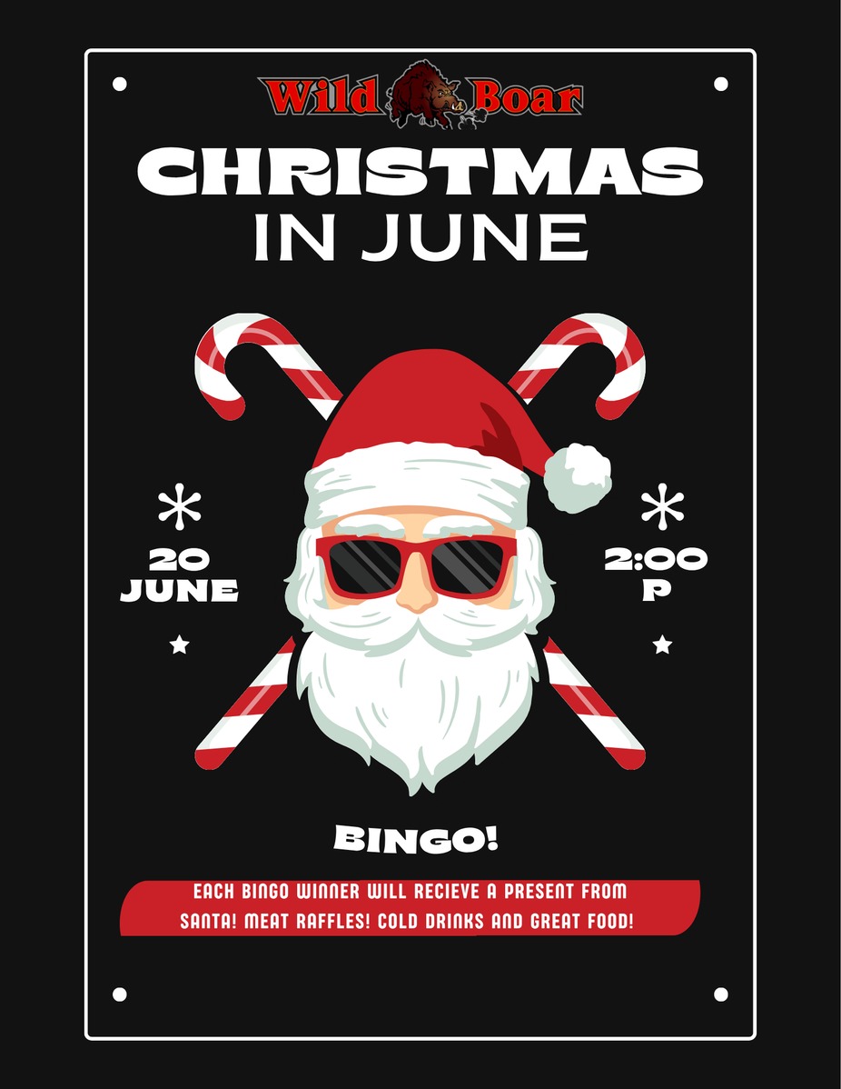 Christmas in June Bingo! event photo