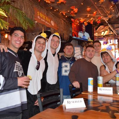 gallery photo number 332