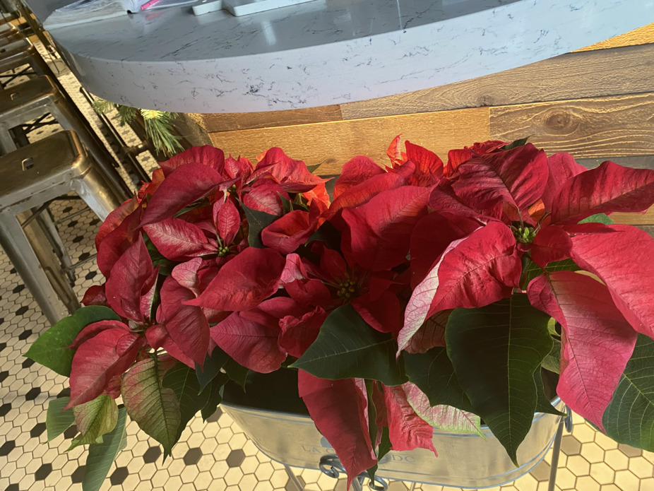 Christmas La Casina's Deustation event photo