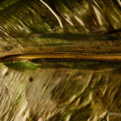 Indian flatbread filled with dry chicken curry wrapped and cooked in banana leaf.
