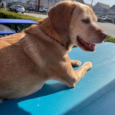 gallery photo number 19.