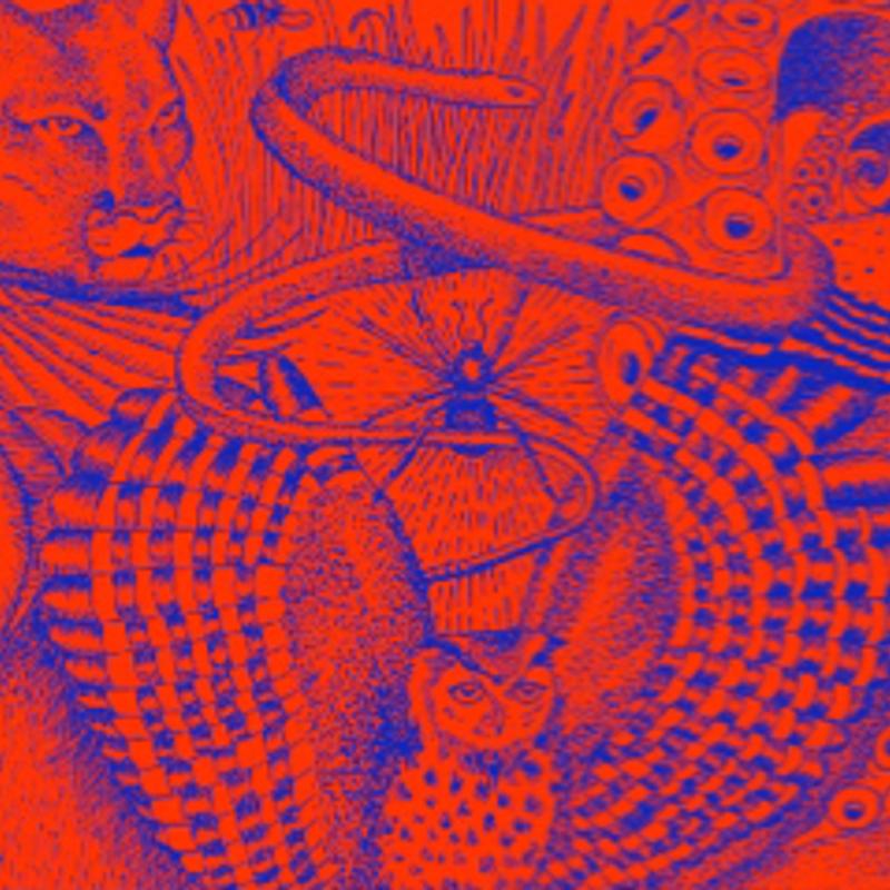 Casa Jipi Red 2020 Nebbiolo: México