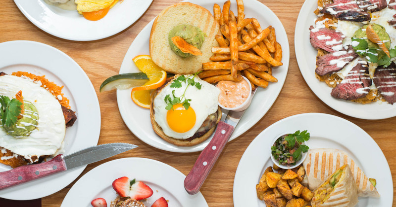 Assorted dishes served, top view