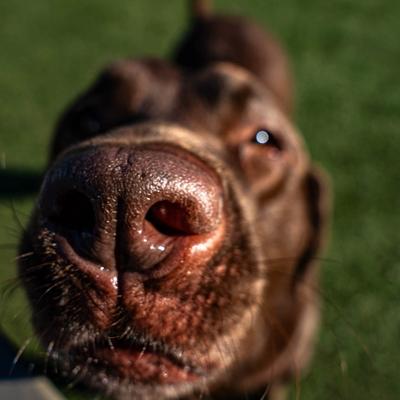 gallery photo number 2