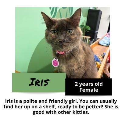 gallery photo number 6