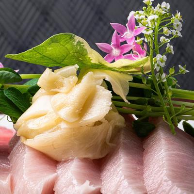 A closeup on sashimi.