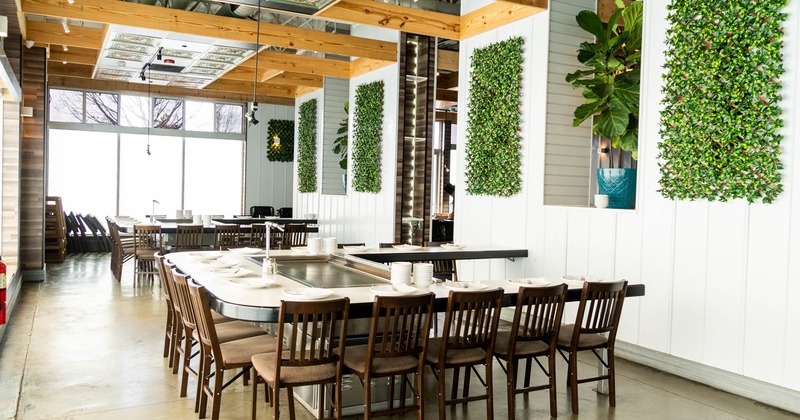 Interior, teppanyaki table, decorative leaves on the walls