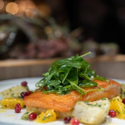 Atlantic Salmon - fava, citrus, arugula, pomegranate
